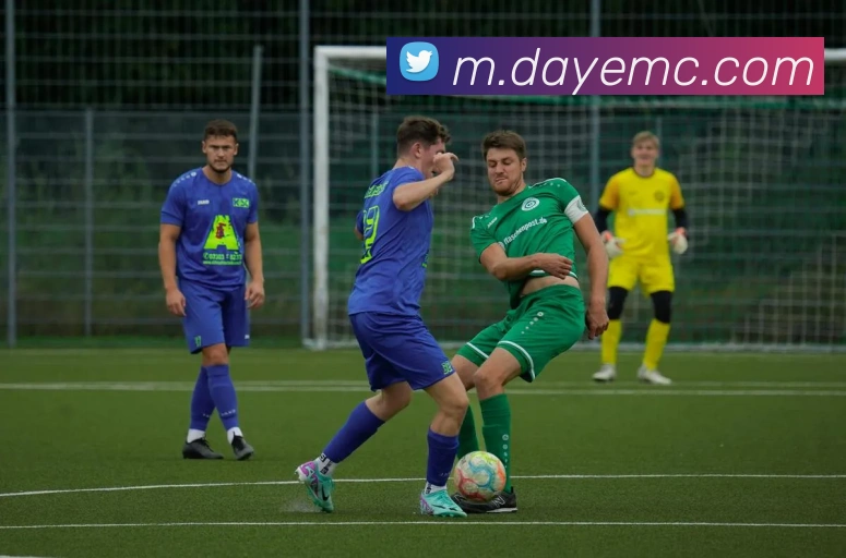 杨瀚森对裁判频频抱怨但CBA中的明显犯规为何不被吹罚